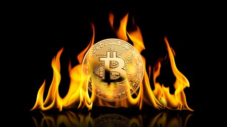 Avoid Getting Burnt In The Bitcoin Fire